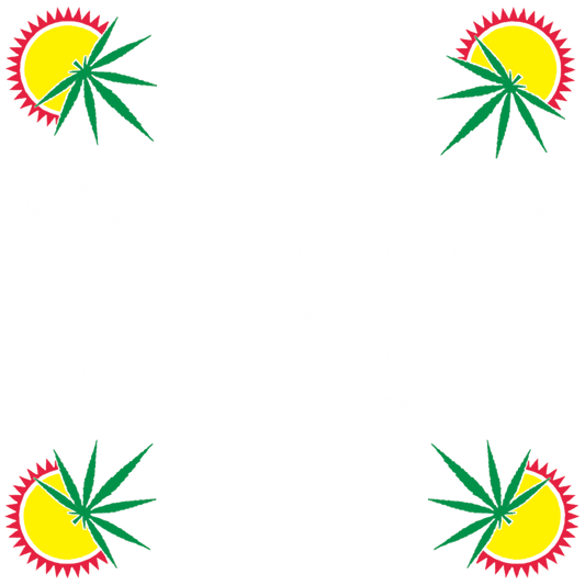 Clipper Feuerzeuge "Überraschungsbox" Zufällige Clipper (3/5/10 Stück) - THC Headshop