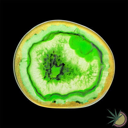 Sniff Disc aus Glas in Achat-Optik 10x9cm verschiedene Farben