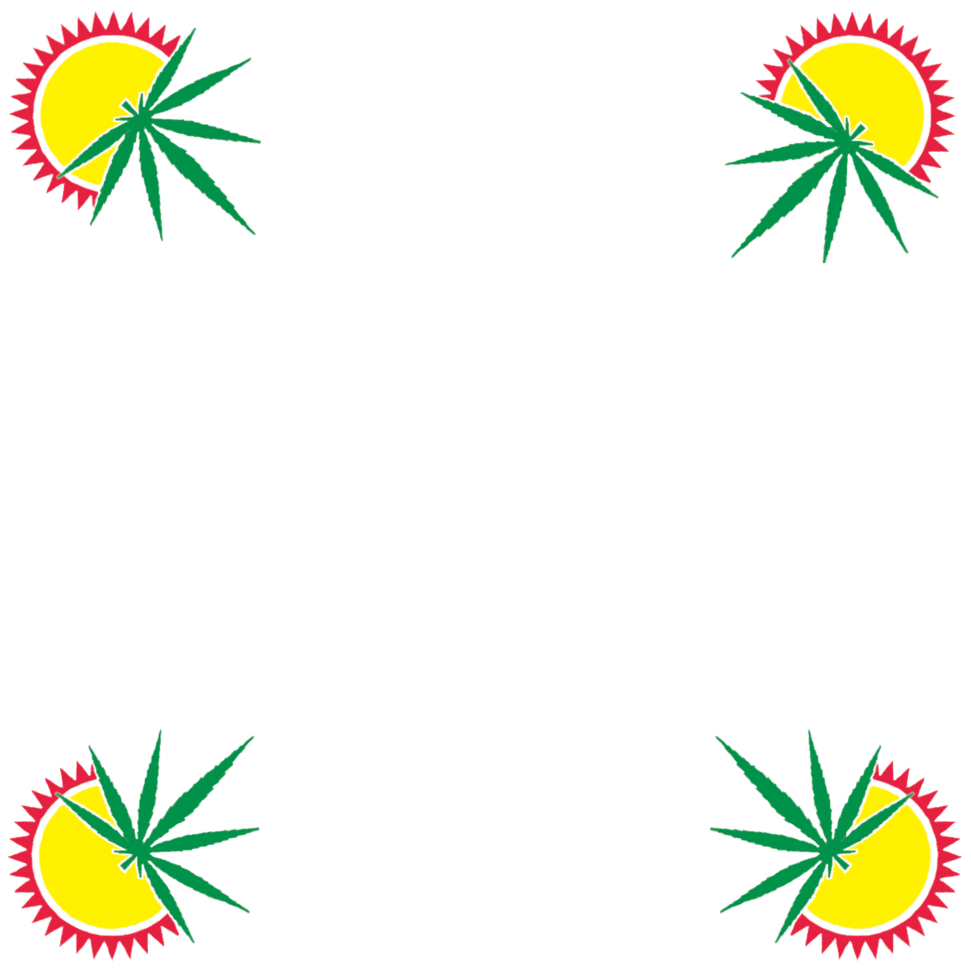 Clipper Feuerzeuge "Überraschungsbox" Zufällige Clipper (3/5/10 Stück) - THC Headshop