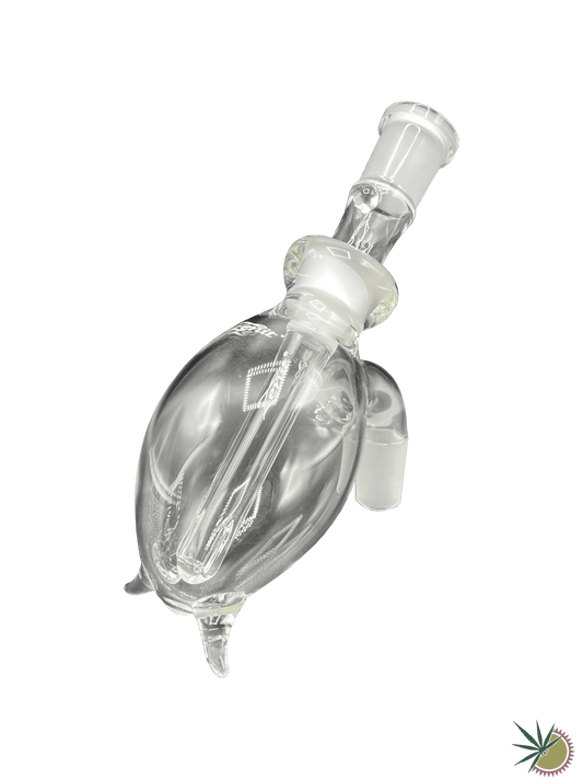 Zenit Vorkühler Bauchig 18.8er Schliff - THC Headshop